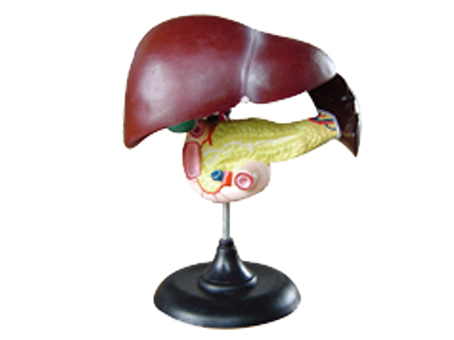 SD-093 33216�Ρ�ʮ��֬�c�����Kģ��